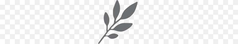 Icon Herbs Photos, Gray, City Free Transparent Png