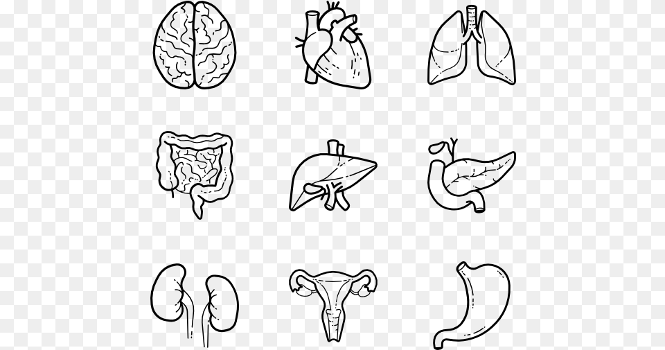 Icon Human Body Parts, Gray Free Transparent Png