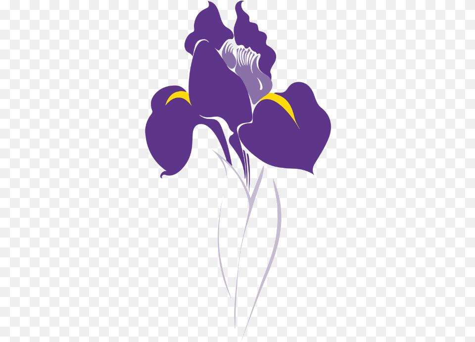 Icon Illustration Development U2014 Shuo Meng Lovely, Flower, Iris, Plant, Purple Free Png