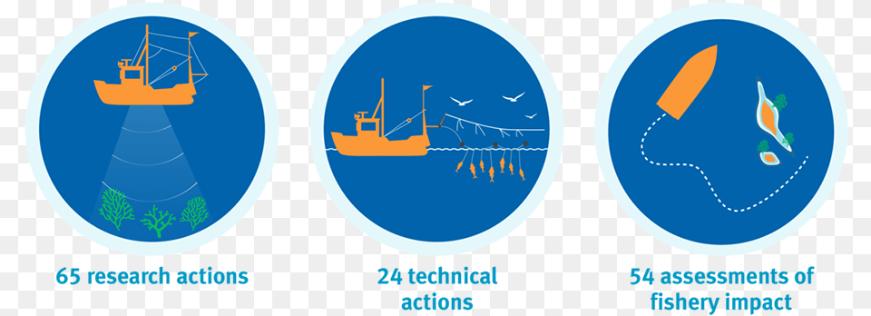 Icon Illustrations Showing Research Actions Technical Fishery Manage Icon, Sailboat, Boat, Vehicle, Transportation Png Image