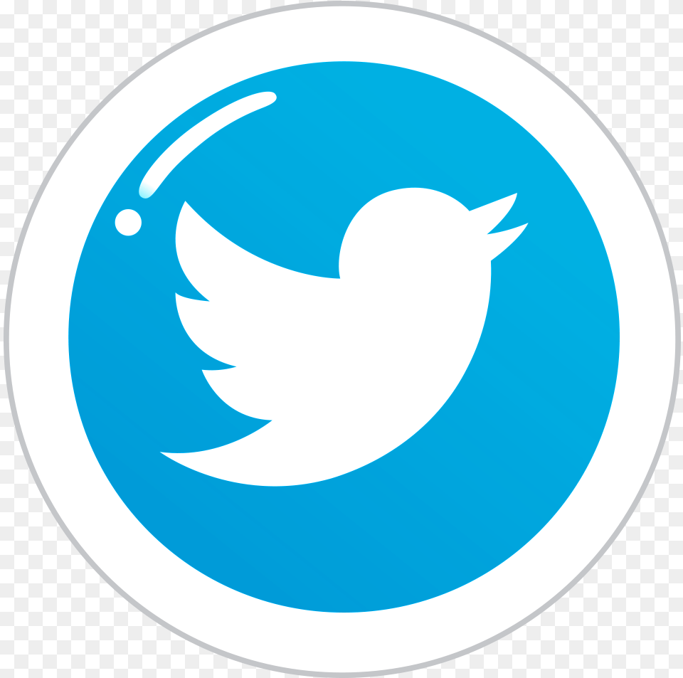 Icon Image Searchpng Twitter, Logo Free Png Download