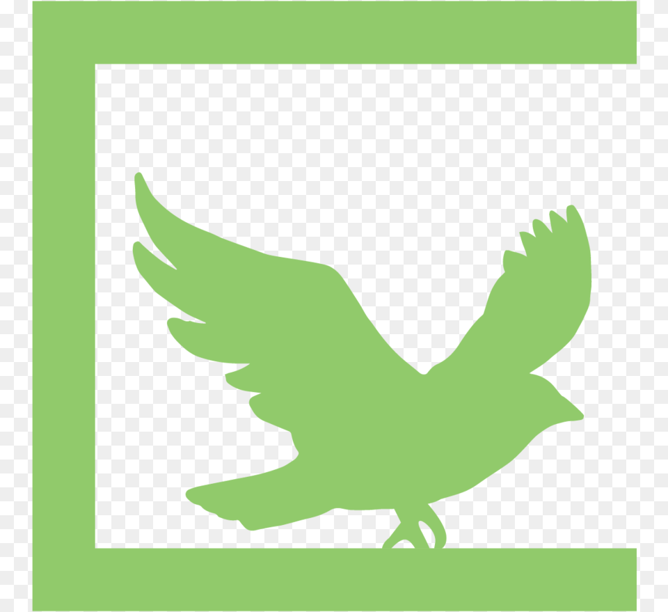 Icon Kill A Mockingbird Bird, Animal, Flying Free Png Download