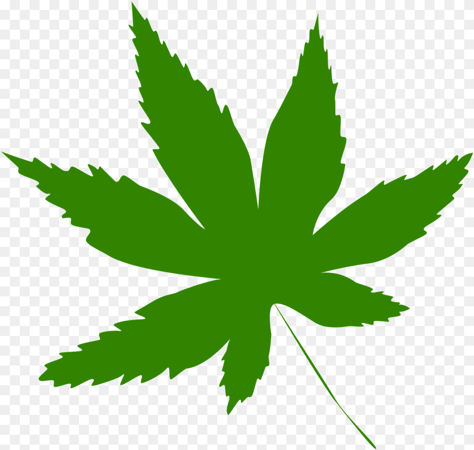 Icon Leaf Green Folha De Maconha, Plant, Weed Png