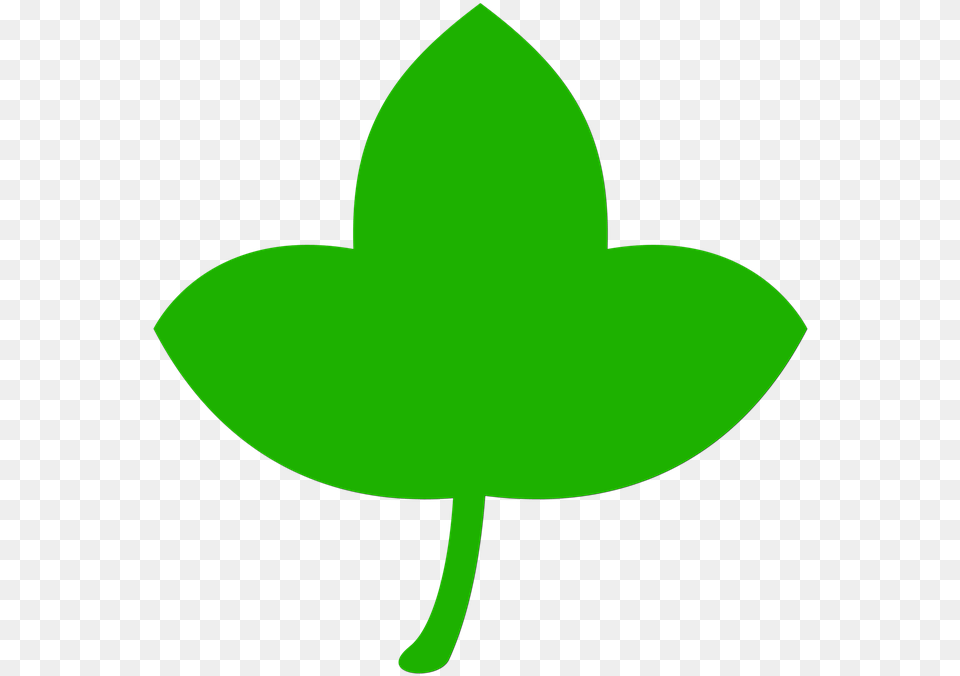Icon Leaf Green Tree Nature Leaves Plant, Clothing, Hat Png
