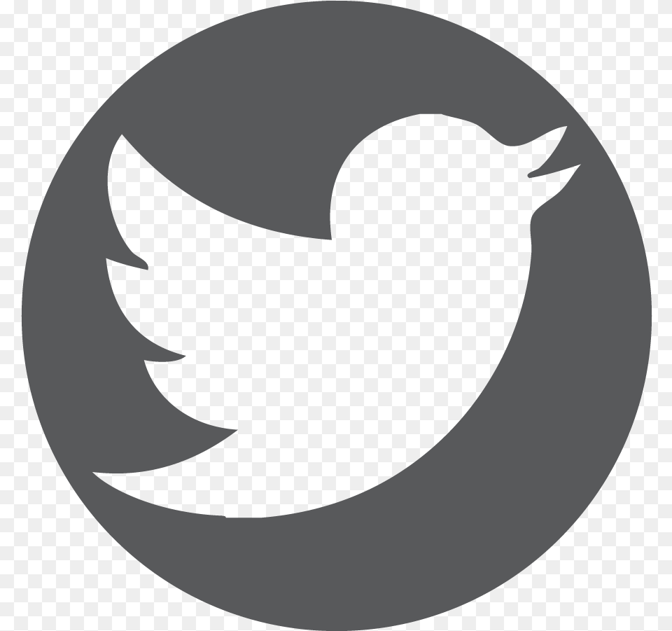 Icon Logo Twitter, Animal, Bird, Blackbird, Silhouette Png