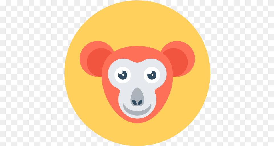 Icon Monkey Happy, Photography, Disk, Animal, Mammal Png Image