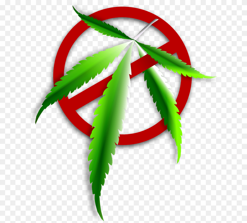 Icon Narkoba, Leaf, Plant, Weed, Herbal Free Transparent Png