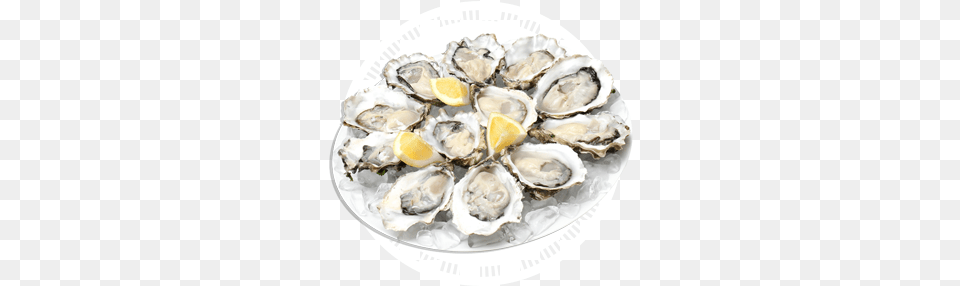 Icon Oysters Central Seafoods Oysters, Food, Seafood, Animal, Sea Life Free Png Download