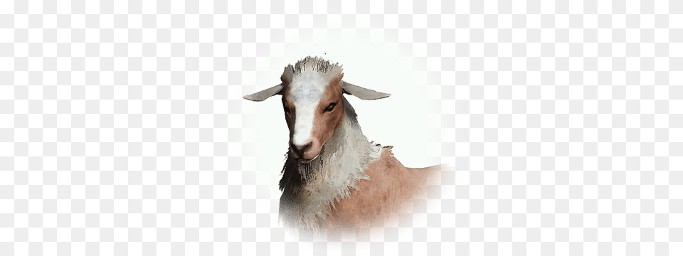 Icon Portable Network Graphics, Livestock, Animal, Mammal, Sheep Png