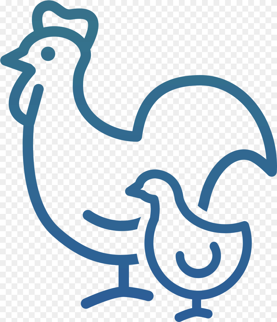Icon Poultry Amp Egg Production Icon Poultry, Animal, Camel, Mammal, Kangaroo Png