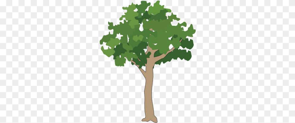 Icon Small Tree Vector Tree Icon, Oak, Plant, Sycamore, Tree Trunk Free Png
