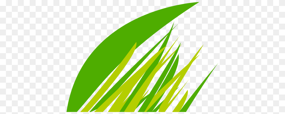 Icon Steamed Street Food Icon With And Vector Format, Grass, Green, Leaf, Plant Free Transparent Png