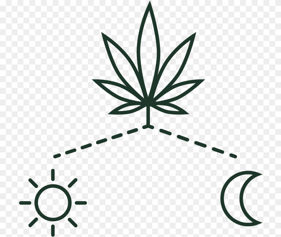 Icon The Plant 16 Cannabis Free Png