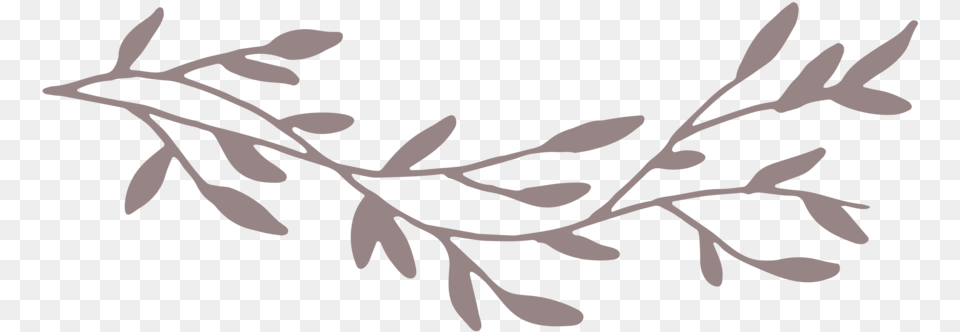 Icon Twig, Art, Floral Design, Graphics, Pattern Png