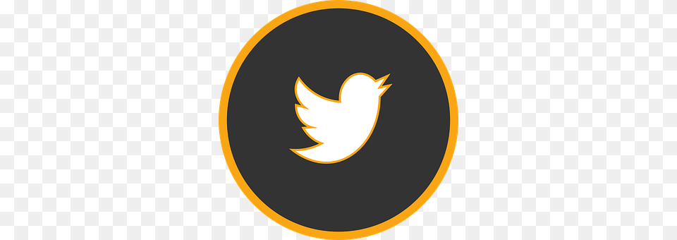 Icon Twitter Logo, Symbol, Disk Free Png