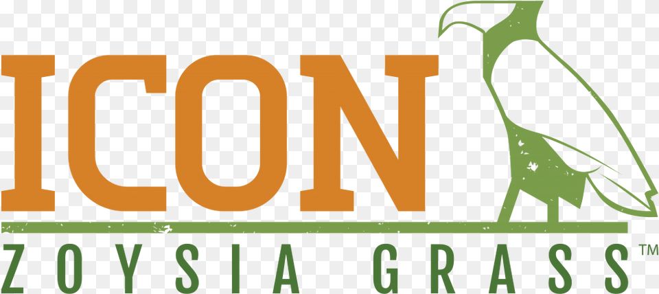 Icon Zoysia Grass Graphic Design, Text Png Image