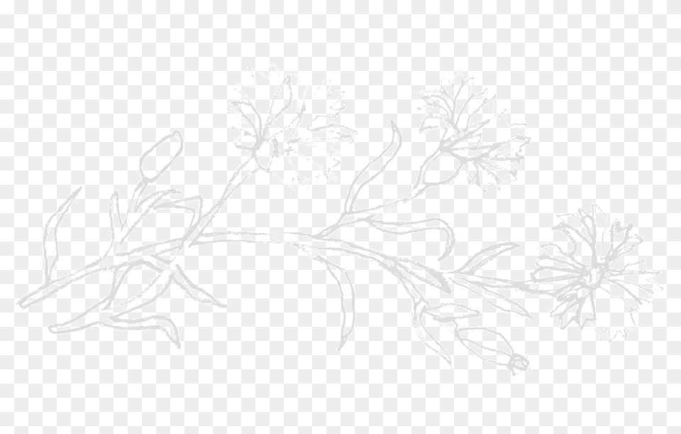 Iconlarge Sketch, Nature, Art, Outdoors, Ice Free Transparent Png