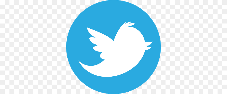 Icono Crculo Twitter Telegram Logo Free Png