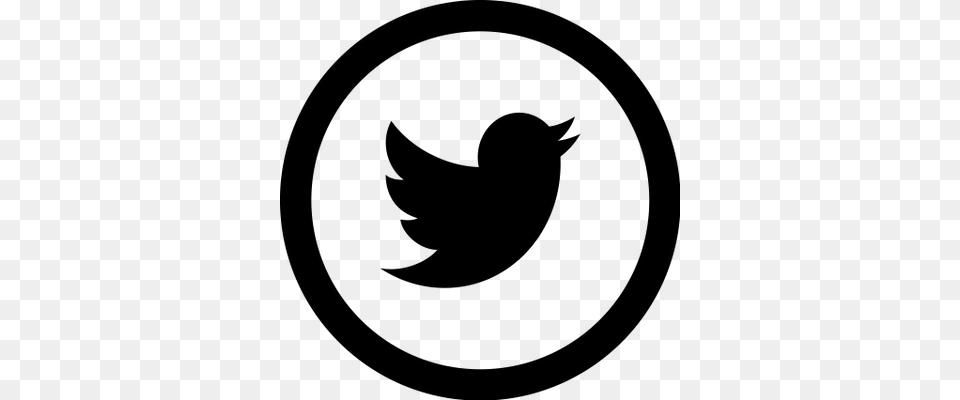 Icono Twitter En Negro Transparente, Logo, Symbol Free Png Download