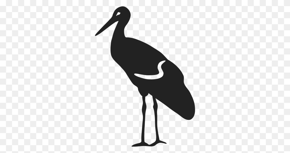 Icons, Animal, Bird, Crane Bird, Stork Free Png Download