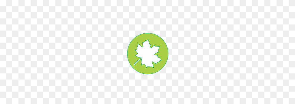 Icons Leaf, Plant, Logo, Disk Free Png Download