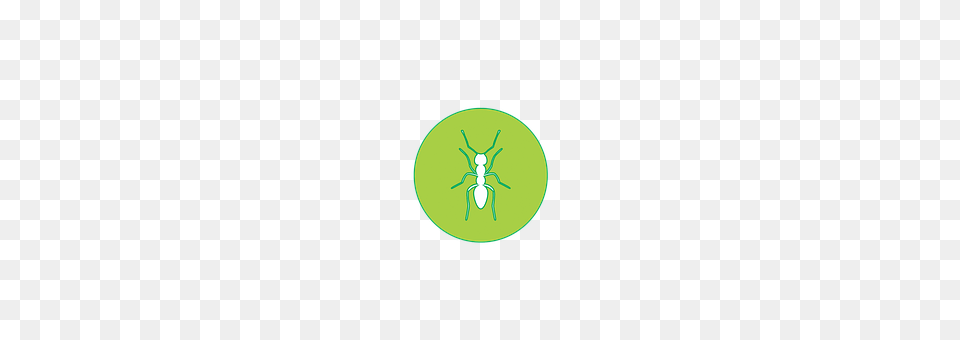 Icons Animal, Ant, Insect, Invertebrate Png