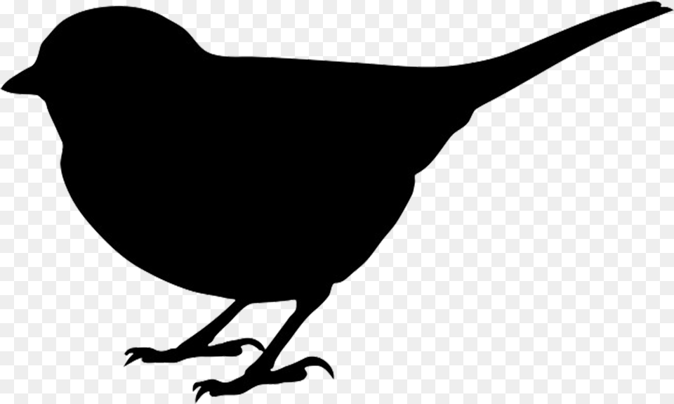 Icons Bird Silhouette, Animal, Blackbird, Stencil Free Png