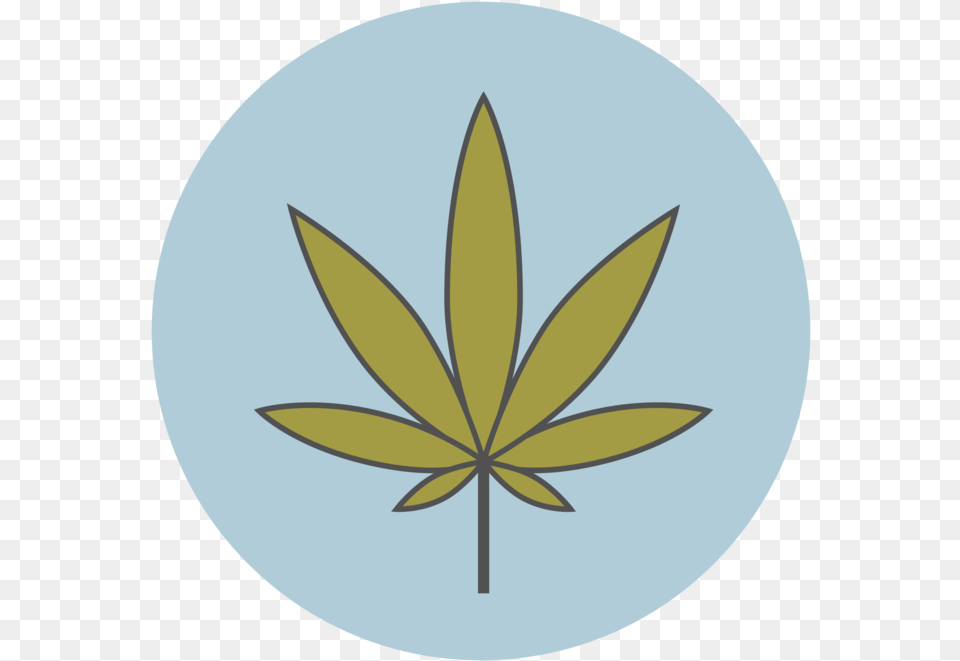 Icons Color Larger 06 Emblem, Leaf, Plant, Weed, Animal Free Png Download