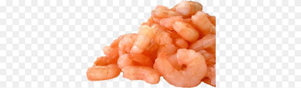Icons Cooked And Peeled Shrimp, Animal, Food, Invertebrate, Sea Life Free Png Download