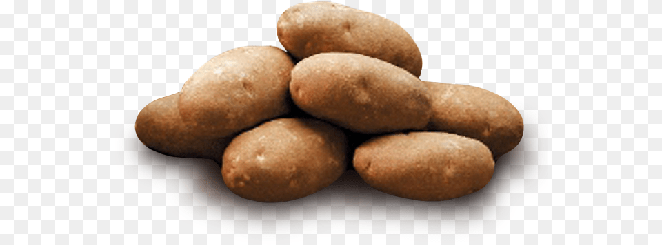 Icons Hazelnut, Food, Plant, Potato, Produce Png