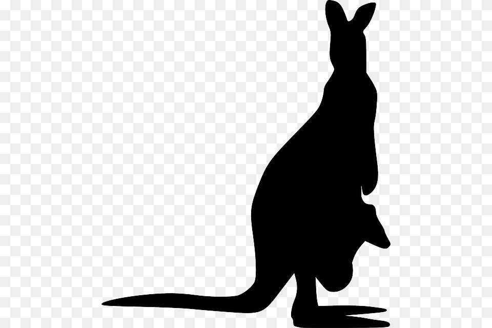 Icons Kangaroo Vector, Animal, Mammal Free Transparent Png