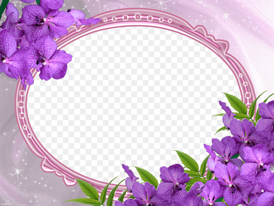 Icons New Genuine Amethyst Ring, Flower, Geranium, Plant, Purple Free Transparent Png