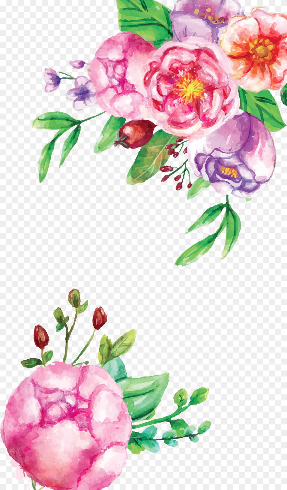 Icons Pink Floral Watercolor Pink Floral Watercolor, Flower, Plant, Art, Floral Design Free Transparent Png