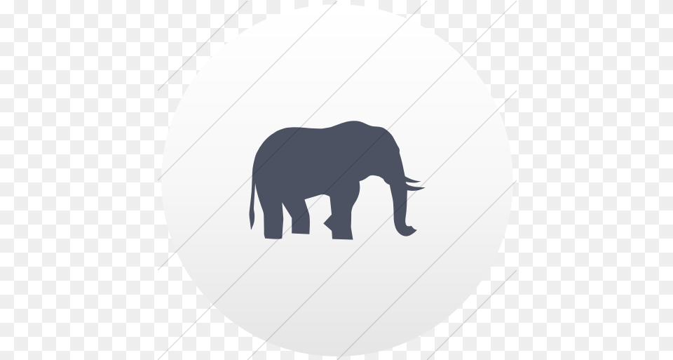 Iconsetc Flat Circle Blue Gray Vector Elephant, Animal, Mammal, Wildlife Png