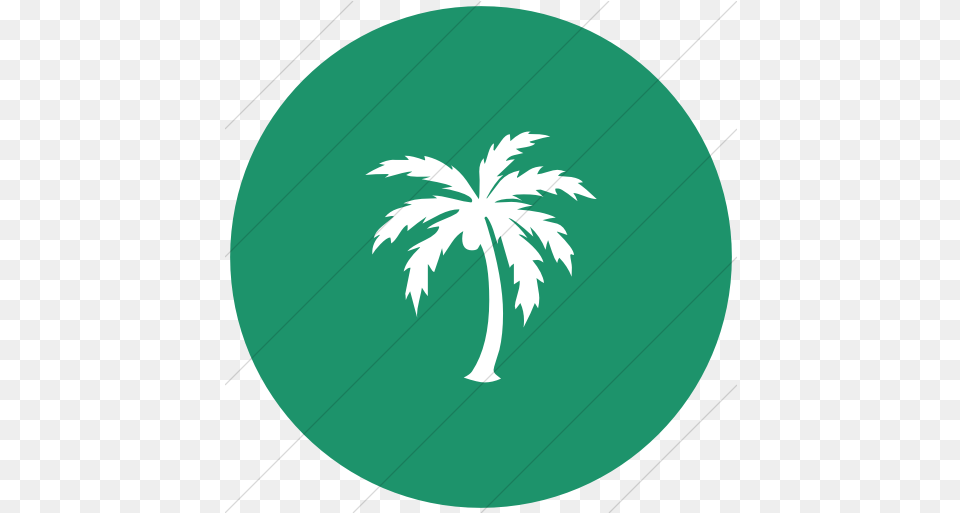Iconsetc Flat Circle White Palm Tree Yellow Icon, Green, Plant, Palm Tree, Leaf Free Png