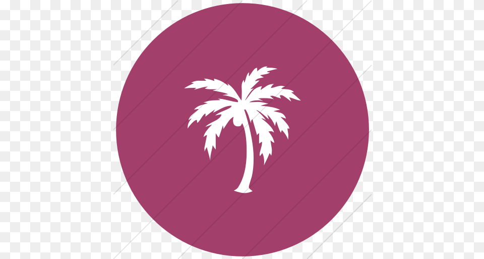Iconsetc Flat Circle White Palm Tree Yellow Icon, Leaf, Plant, Purple, Palm Tree Png Image