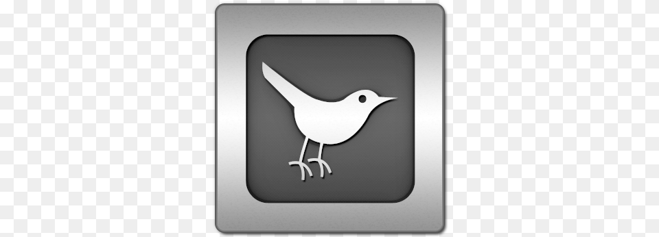 Iconsetc Twitter Bird3 Square Icon In Twitter Bird Icon, Animal, Wren Png Image