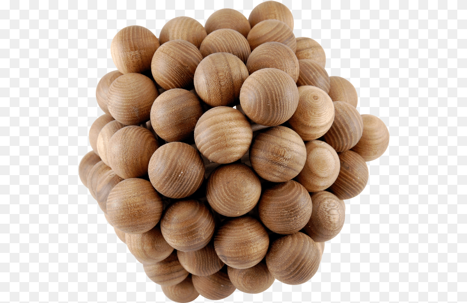 Icosahedron Wood, Sphere, Animal, Insect, Invertebrate Free Png Download