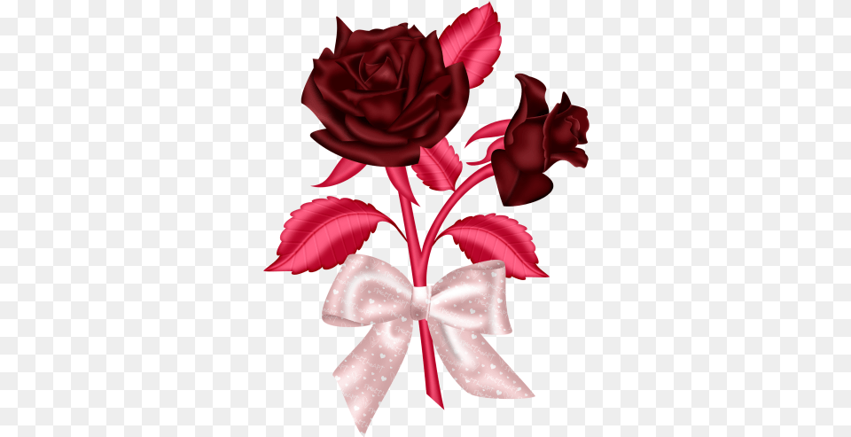Idea By Stephanie Mocabee, Flower, Plant, Rose, Accessories Png Image