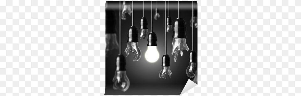 Idea Concept With Broken Bulbs And One Glowing Bulb Photography Black And White Design, Light, Lightbulb, Adult, Female Free Transparent Png