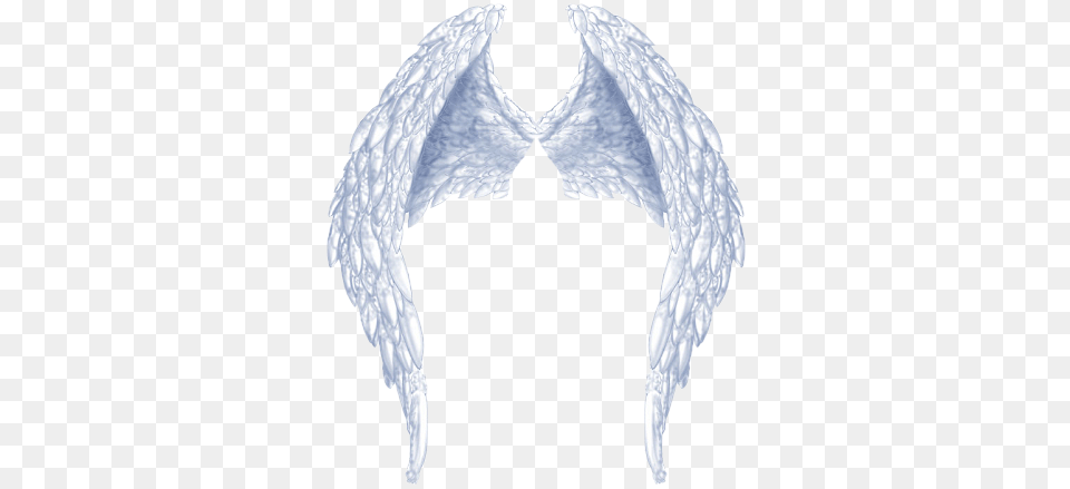 Ideal Images Of Angel Wings Angel Wings New Calendar Angel Wings, Accessories, Adult, Bride, Female Png Image