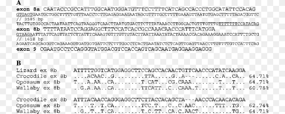 Identification Of Exon 8b Within The Large Intron 8 Exon, Text, Menu Png Image
