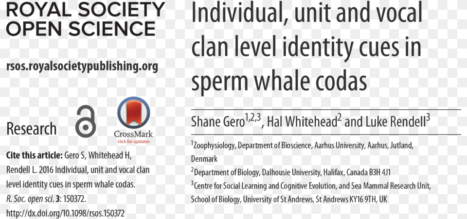 Identity Cues In Sperm Whales Codas Avg Antivirus, Advertisement, Poster, File, Text Free Transparent Png