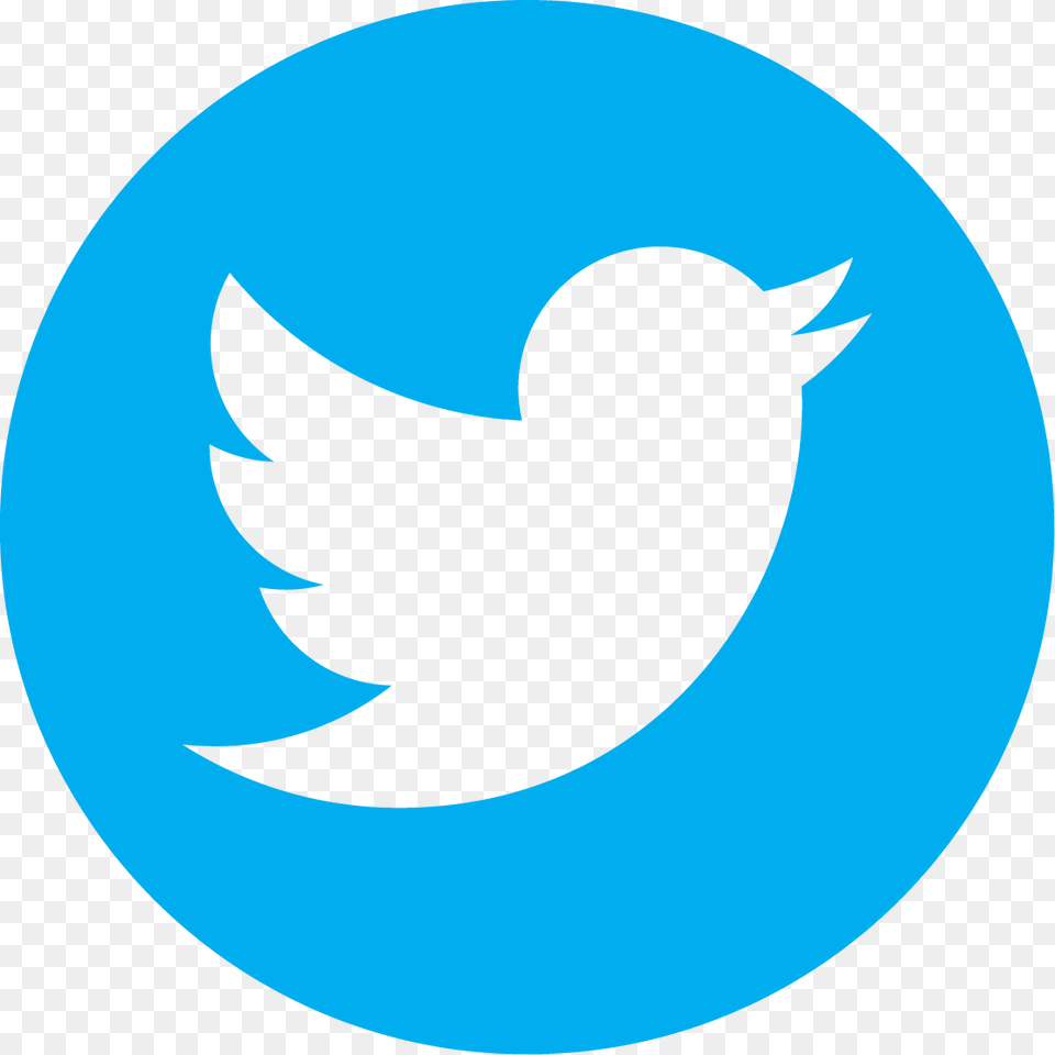 Ideon Branding Consultancy Nyc Twitter Logo Twitter Round Logo Background, Animal, Fish, Sea Life, Shark Free Transparent Png