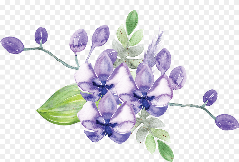 Idignity Seeds Of Hope Purple Flower Gentiana, Plant, Art Png