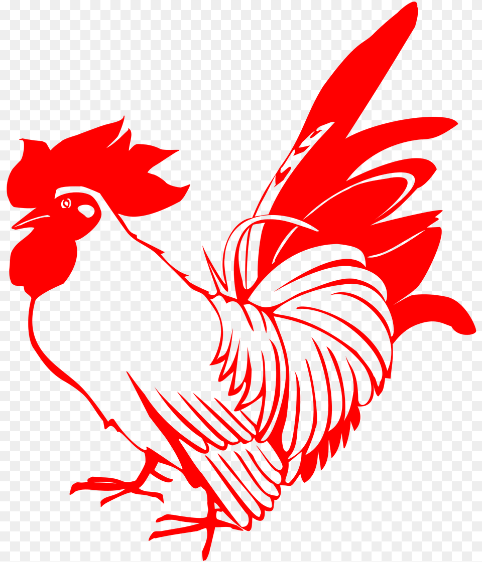 Idioms About Chicken, Animal, Bird, Fowl, Poultry Free Png