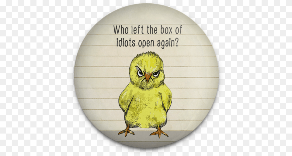 Idiot Box Chick Magnet Left The Box Of Idiots Open, Photography, Animal, Bird, Beak Free Png