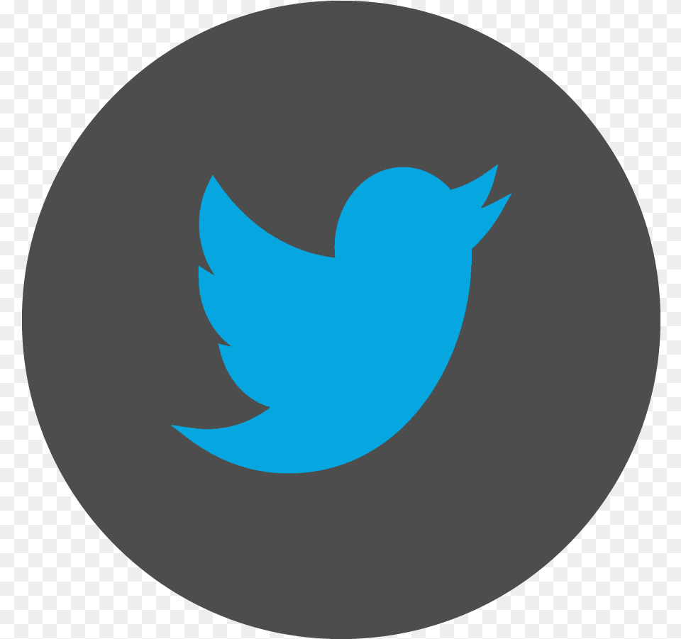 Ieyestreet Welcome Bird Twitter, Logo, Animal, Fish, Sea Life Free Transparent Png