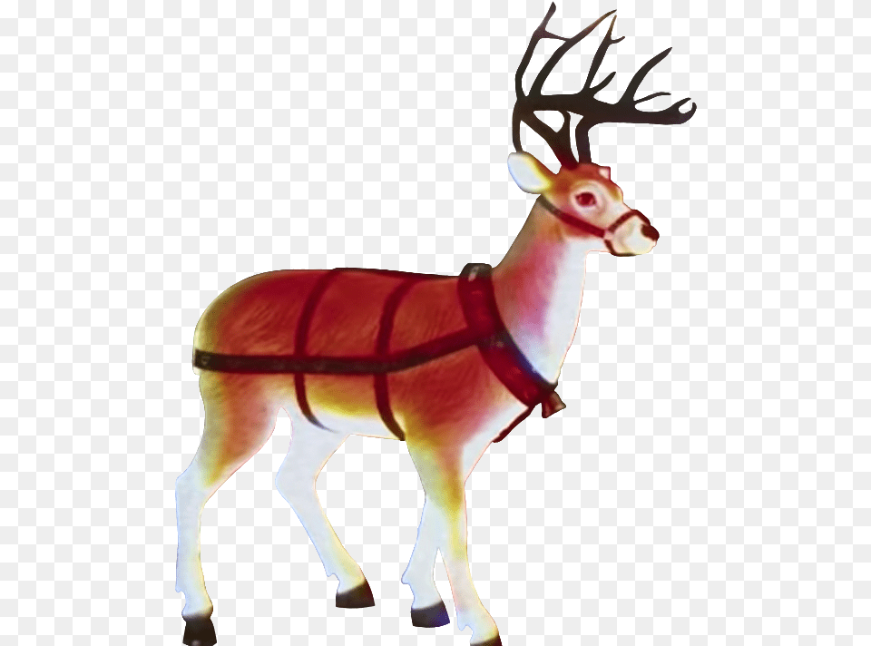 If Anyone Wants Heres A Transparent Reindeer, Animal, Deer, Mammal, Wildlife Free Png