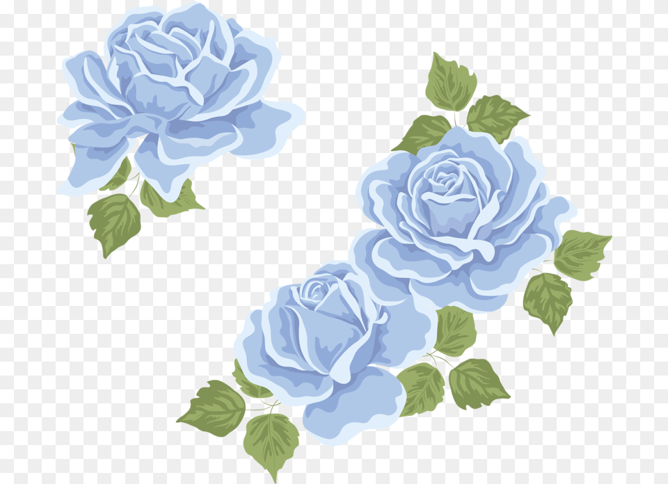 If I Can Live Through This I Can Do Anything Lyrics, Flower, Plant, Rose, Pattern Png Image